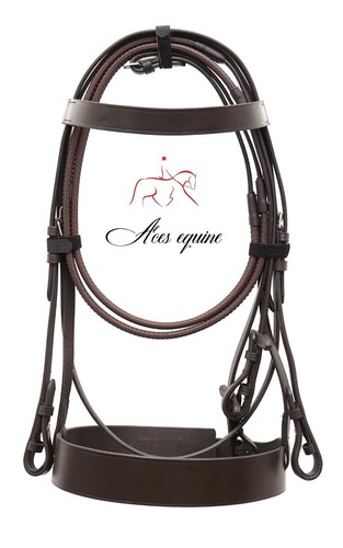 Leather hunter bridle with - leather,