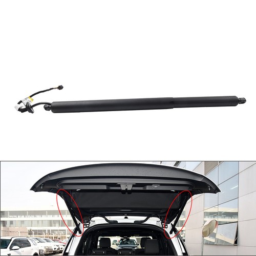 Electric tailgate lift support - tailgate,