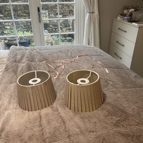 Champagne pleated lampshades - 2,