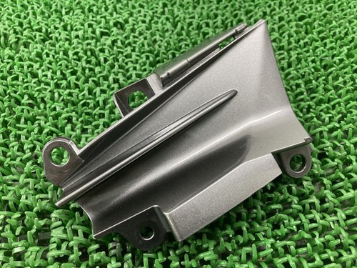 Z1000 side cover right - z1000, m