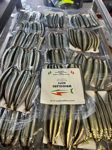 Freshly frozen devon sand eel - frozen,