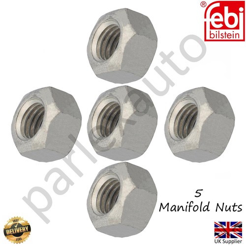 Exhaust manifold nut - manifold,