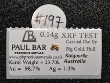 #197 - Natural Gold Nugget