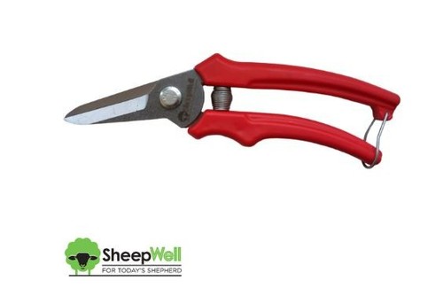 Sheepwell sheep footrot - l/w,