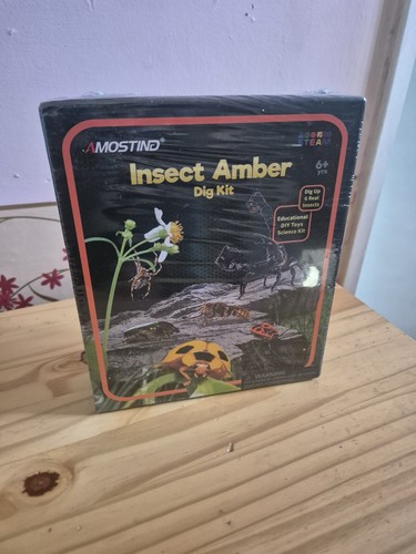 Amostind insect amber dig - insect,