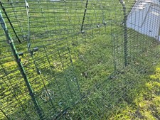 Omlet Eglu Guinea Pig Hutch 3m