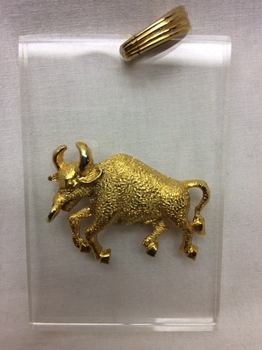 Key chain charm bull - chain,