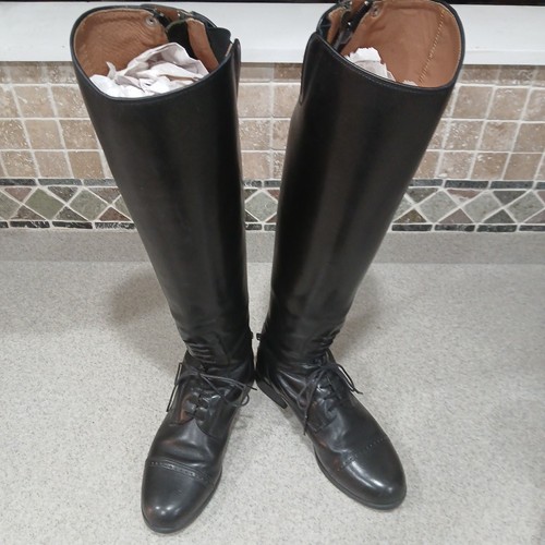 Ariat challenge field - ariat, zip
