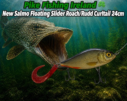 Pike fishing - pike,