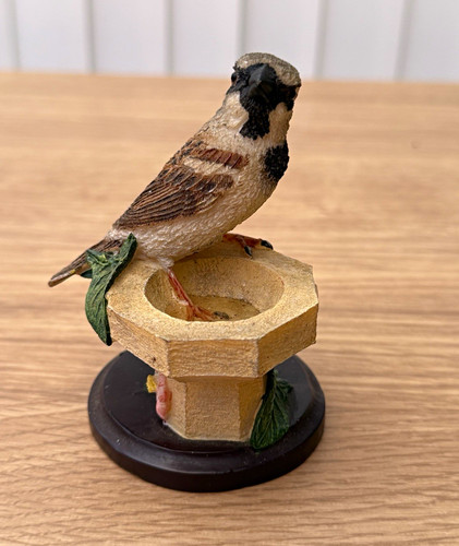 The house sparrow - the, perching
