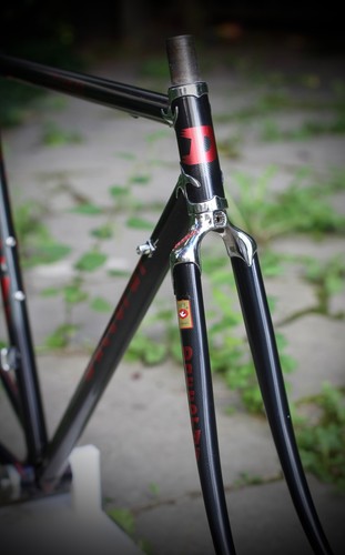 Daccordi classico frame - frame, no
