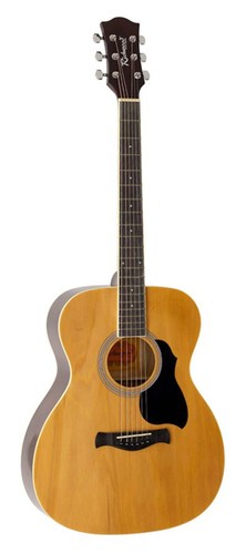 Richwood acoustic guitar - acoustic,