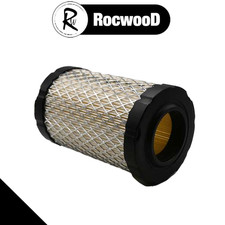 Briggs & Stratton Air Filter