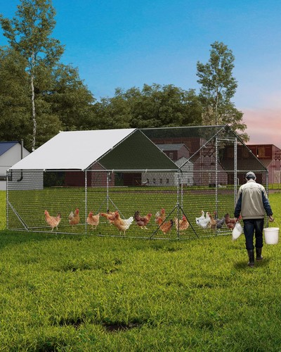 Large metal chicken coop - large,