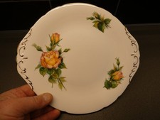 Paragon Six World Famous Roses