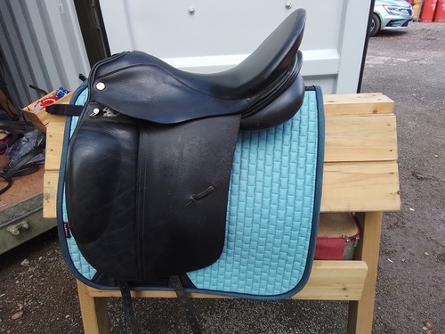 Albion platinum dressage - platinum,
