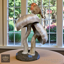 Large Robin on a Mushroom