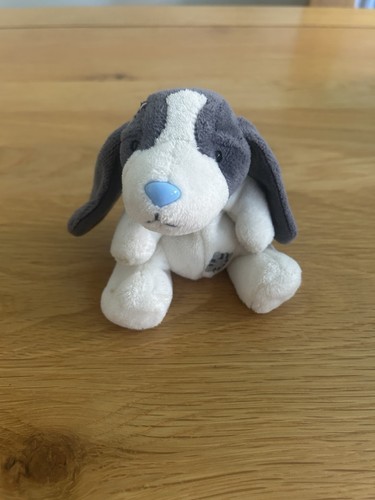 Betsey basset hound - betsey, my