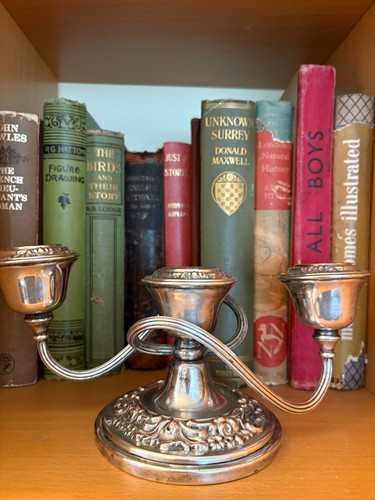 Vintage silver plate - silver,