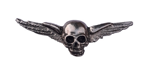Winged skull biker - skull, cast