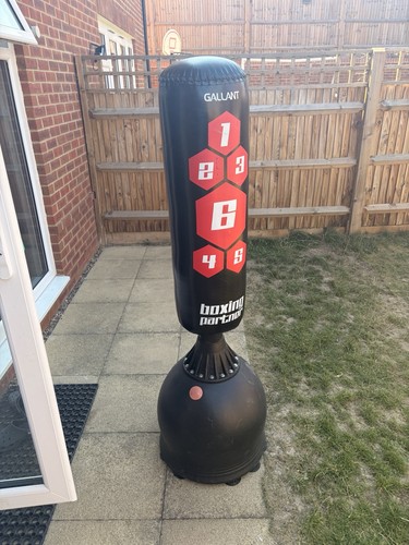 Gallant 5ft free - gallant,