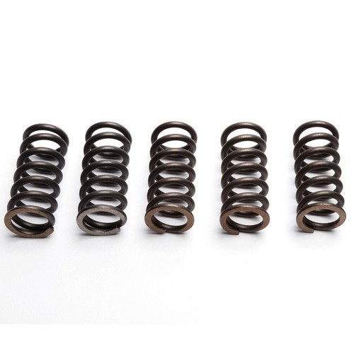 Ebc clutch spring set - set, pcs)