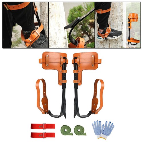 Tree climbing spike - tree,
