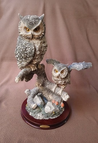 Adult owl with baby owlet - adult,