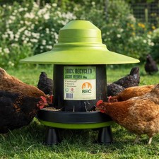 Outdoor Recycled Poultry