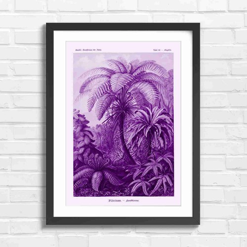 Vintage fern botanical art - fern,