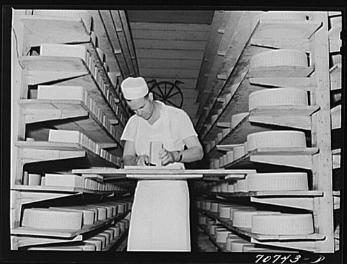 Tillamook cheese - tillamook,