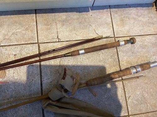 Fishing rods edgar - fishing,