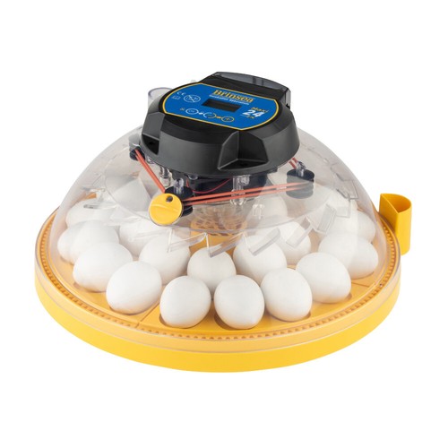 Brinsea maxi incubator - maxi, ex