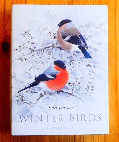 Winter birds lars - lars, jonsson