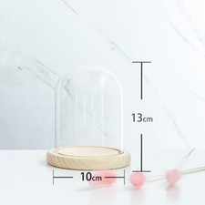 Glass Display Dome Bell Jar Cloche Wood Base Figure Action Gift Table Ornament