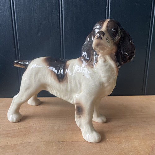 Vintage springer spaniel dog - vintage,