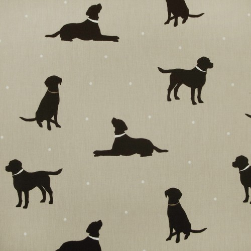 Clarke and rover dog - rover,