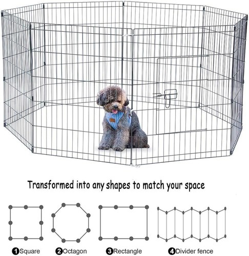Medium panel dog - panel,, puppy