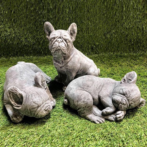 Concrete french bulldogs - concrete,