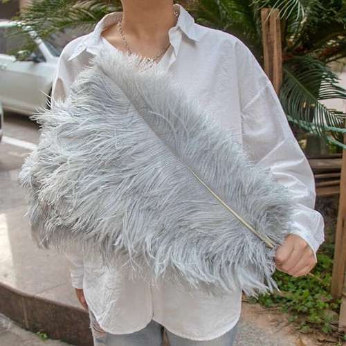 Pack premium ostrich - 10,