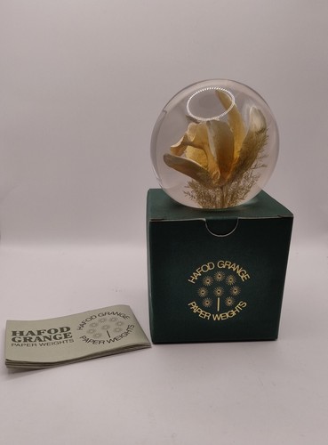 Boxed hafod grange 1991 - 1991, resin