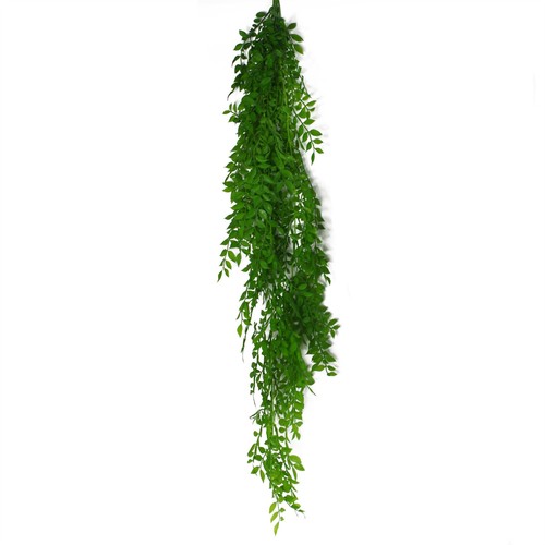 Hanging string pearls - hanging,