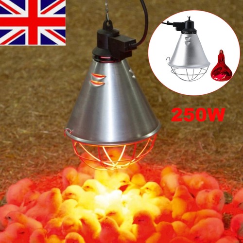 New 250w infrared - 250w, lamp