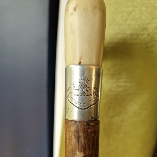 Antique walking stick silver - antique,