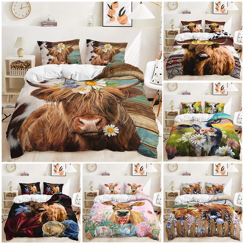 Animals cow scottish highland - animals,