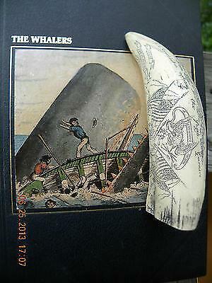 Scrimshaw whale tooth - , resin