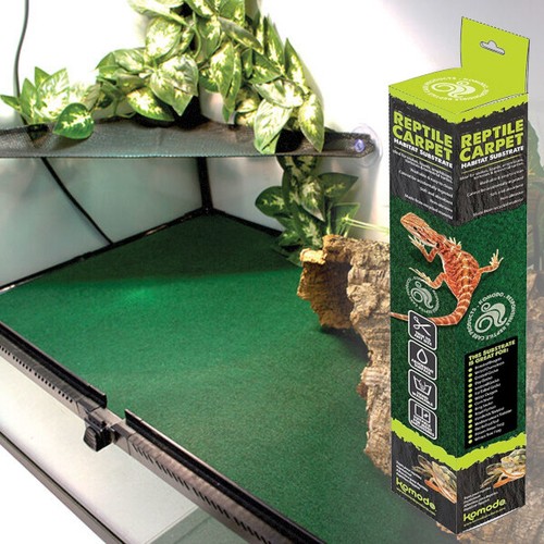 Vivarium reptile carpet - vivarium,