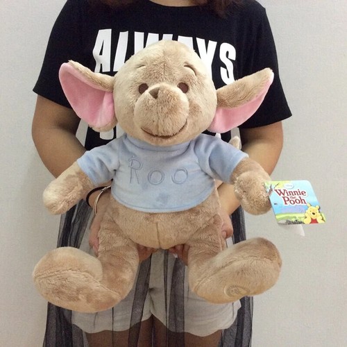 Disney winnie the pooh roo - winnie,