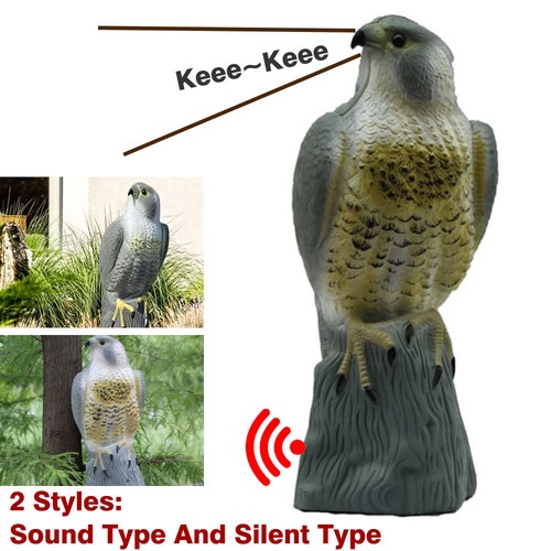 Decoy falcon hawk - hawk, deterrent