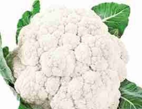 Cauliflower mini - ,